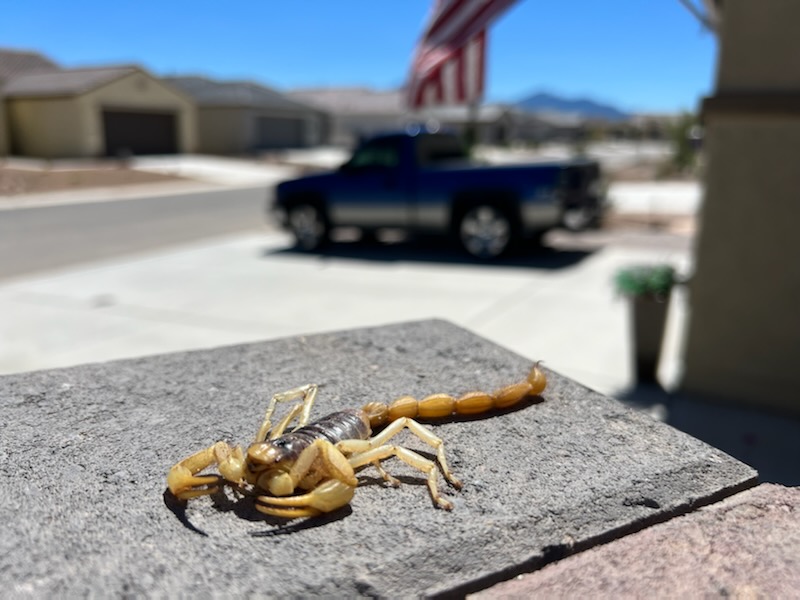 F095979D-207E-48D6-9E62-6B14C4B52AE5.jpeg
