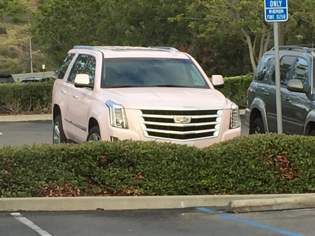 F6448892-E860-4278-9DF9-7ABF79F7F57C_zpsnt9esmeq.jpg