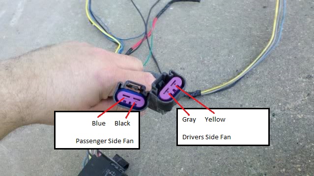 Fan plugs.jpg