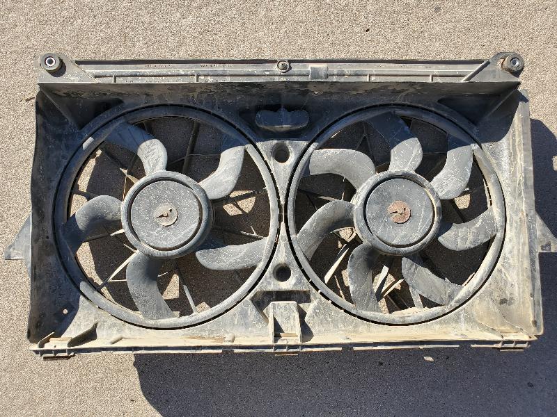 Fan2_resized.jpg
