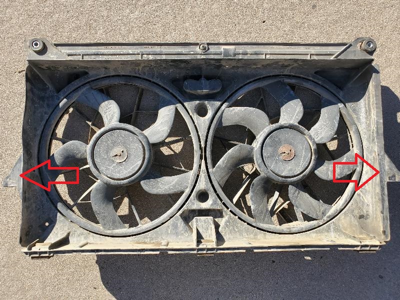 Fan2_resized.jpg