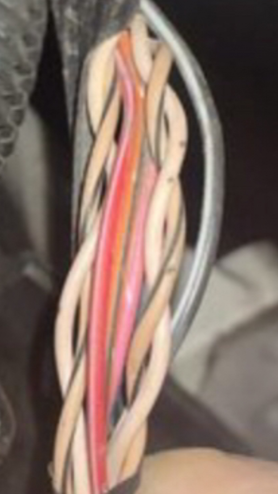 FE500069-1A46-45FD-9BB8-3F13A0F99DB0.png
