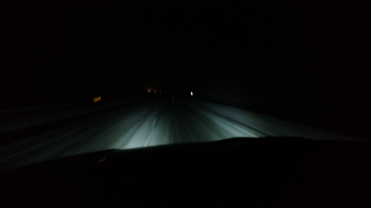 Fogs Only.jpg