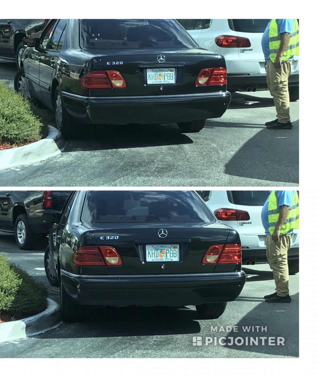 fullsizeoutput_8366.jpeg