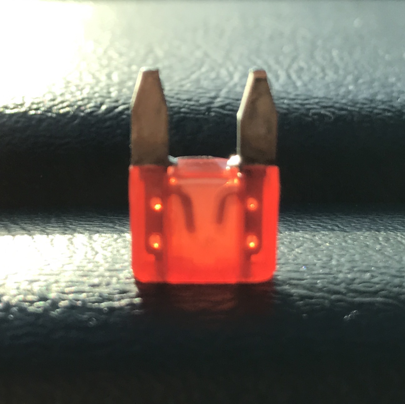 FullSizeRender-1.jpg