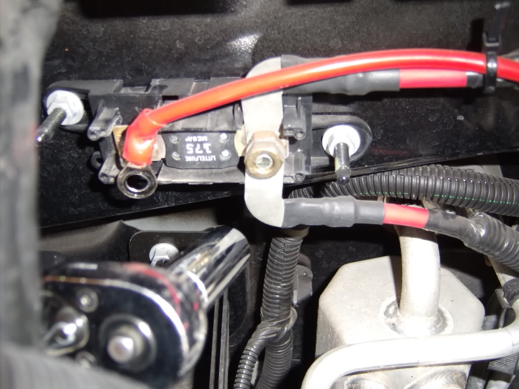GEDC1030.jpg