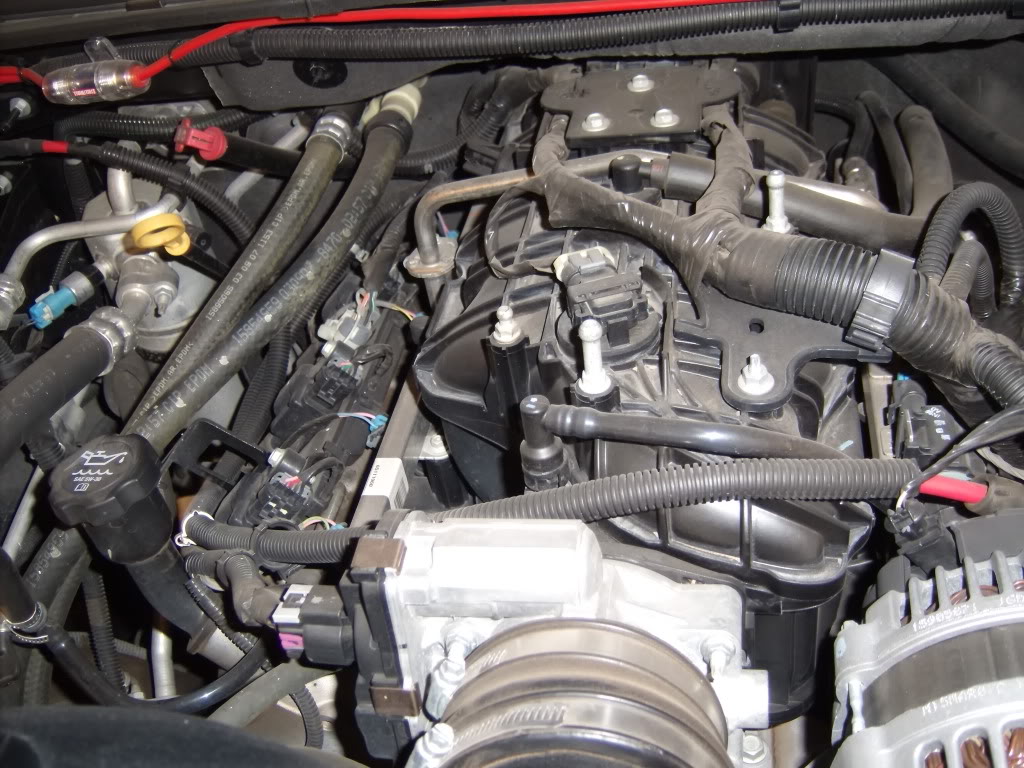 GEDC1032.jpg