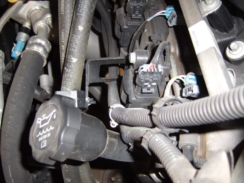 GEDC1033.jpg
