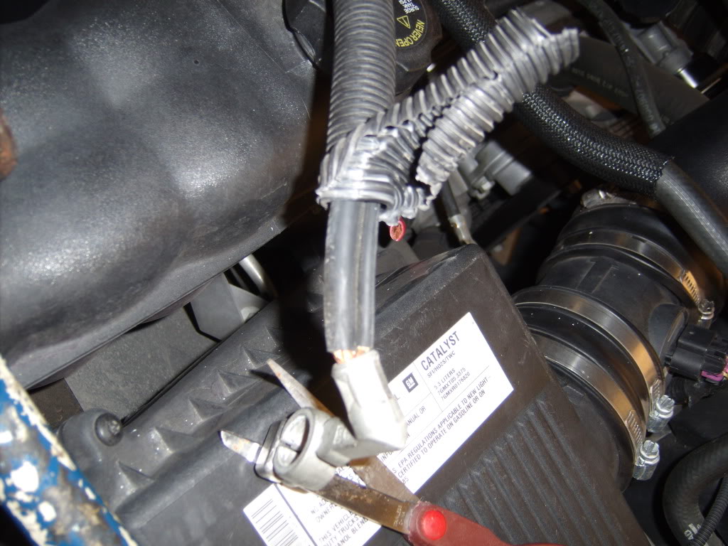 GEDC1051.jpg