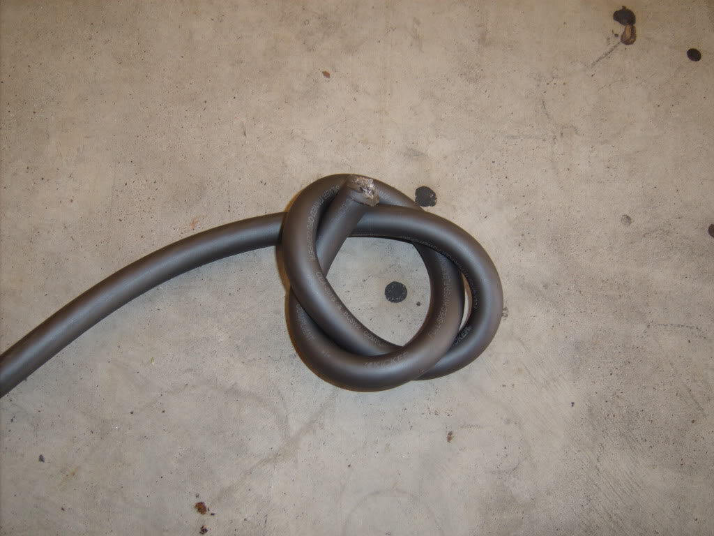 GEDC1063.jpg