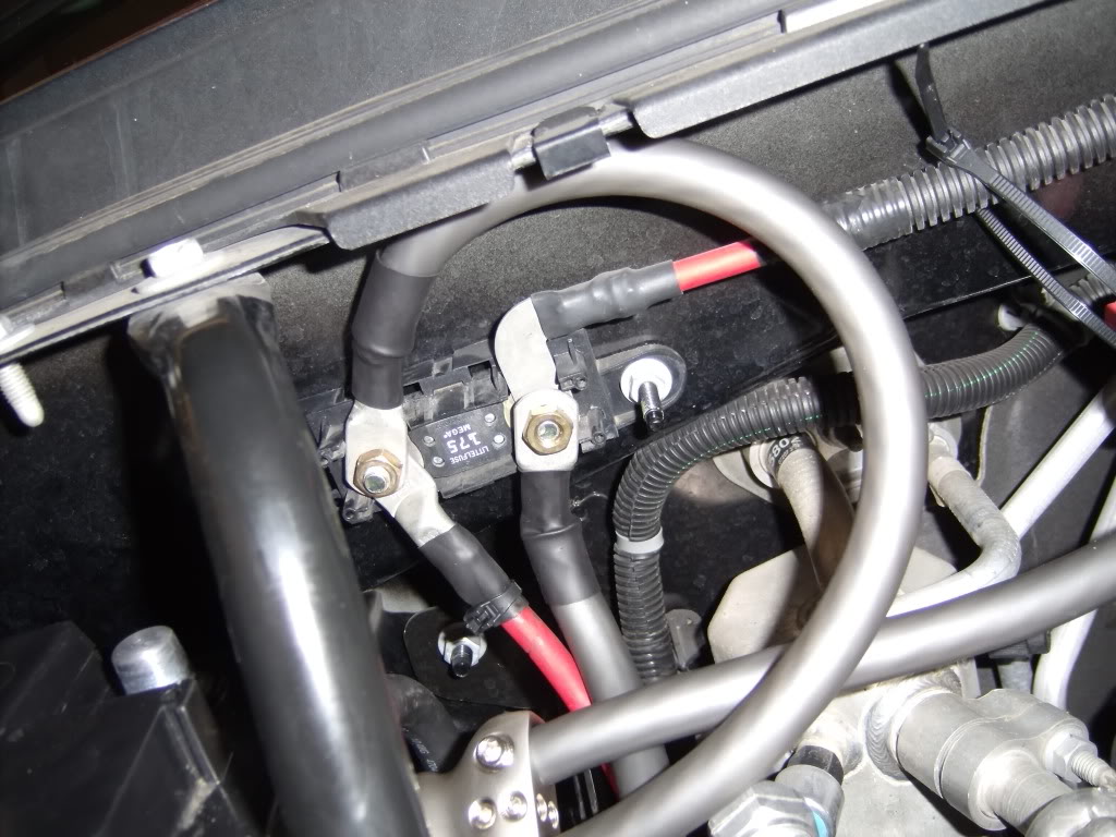 GEDC1095.jpg