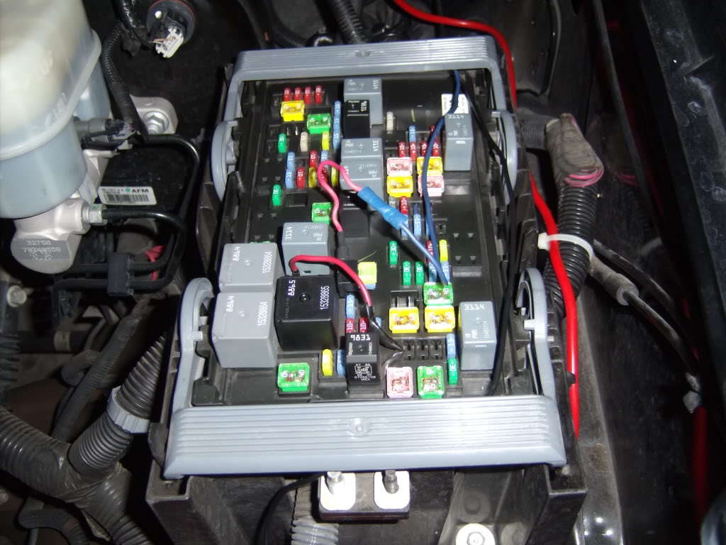 GEDC1167.jpg