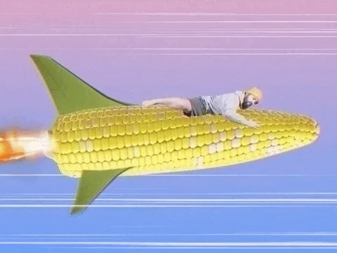 giphy.gif