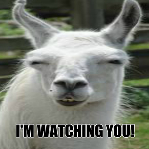 i-amp-039-m-watching-you_fb_2041539.jpg
