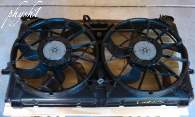 IMAG0086.jpg