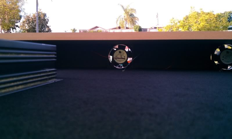 IMAG0434.jpg