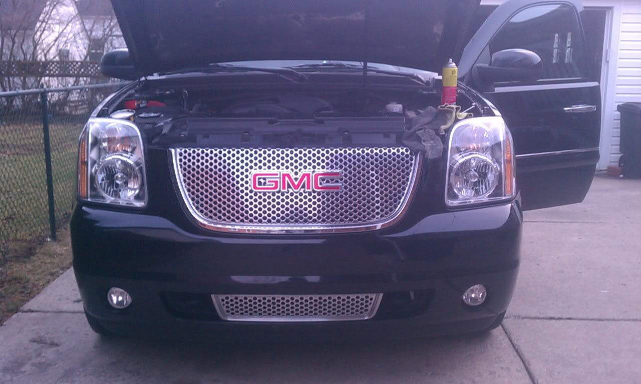IMAG0530.jpg