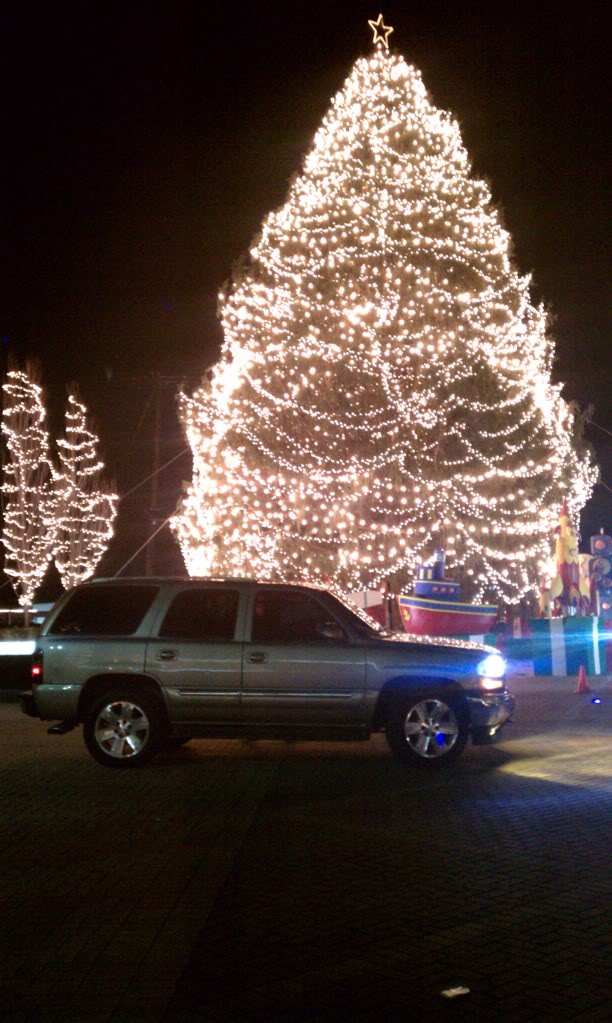 IMAG0655.jpg