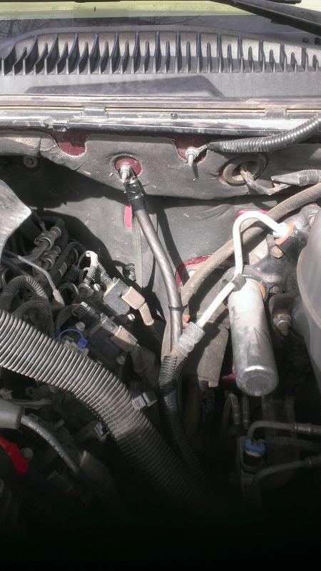 IMAG0929.jpg