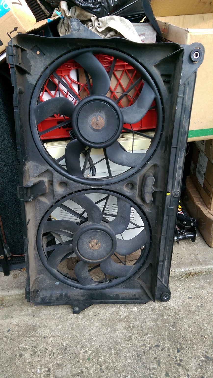 IMAG2185.jpg