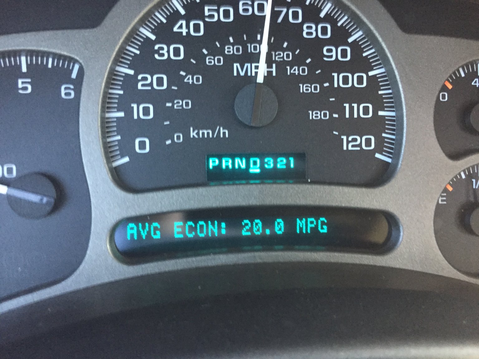image.jpeg