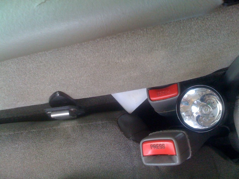 image_7.jpg