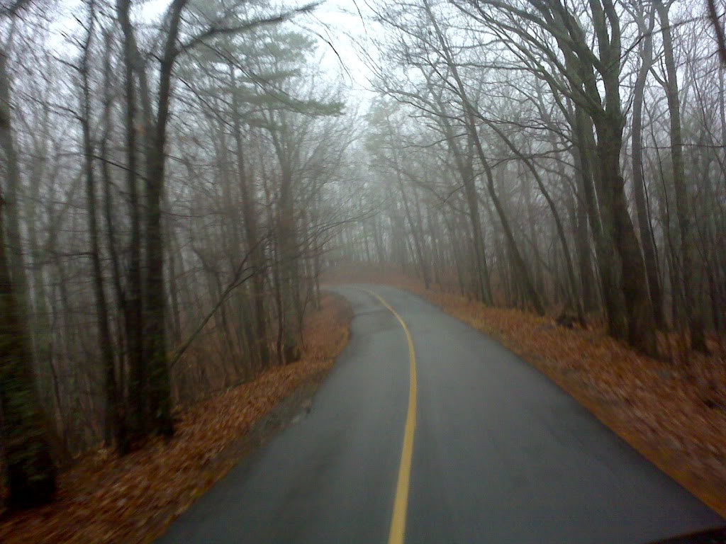 IMG00454.jpg