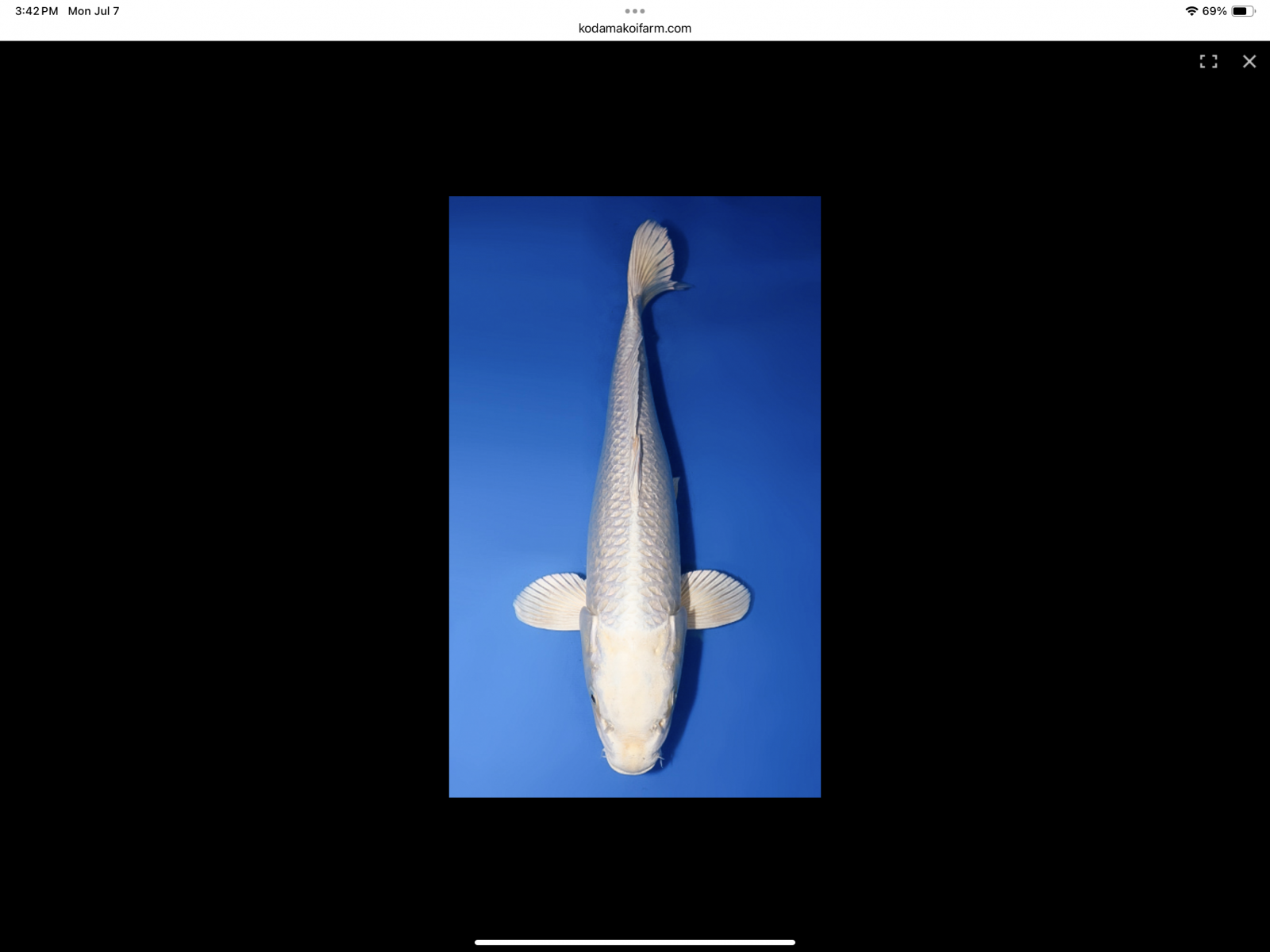 IMG_0201.png