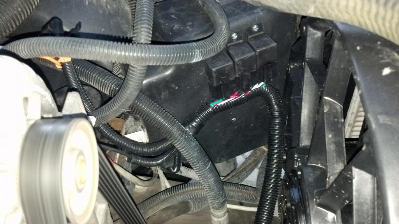 IMG_20130604_194334_439.jpg