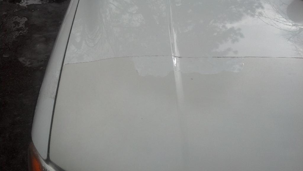 IMG_20140306_112137_698.jpg