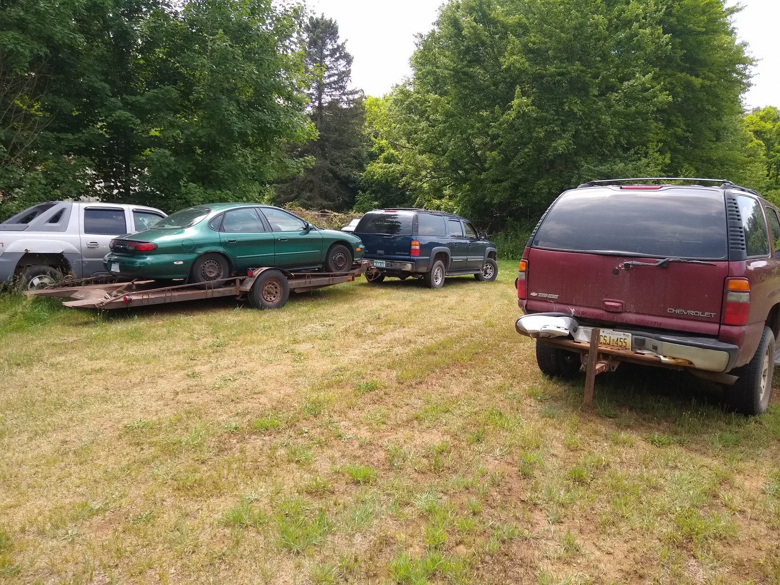 IMG_20210618_150620246.jpg