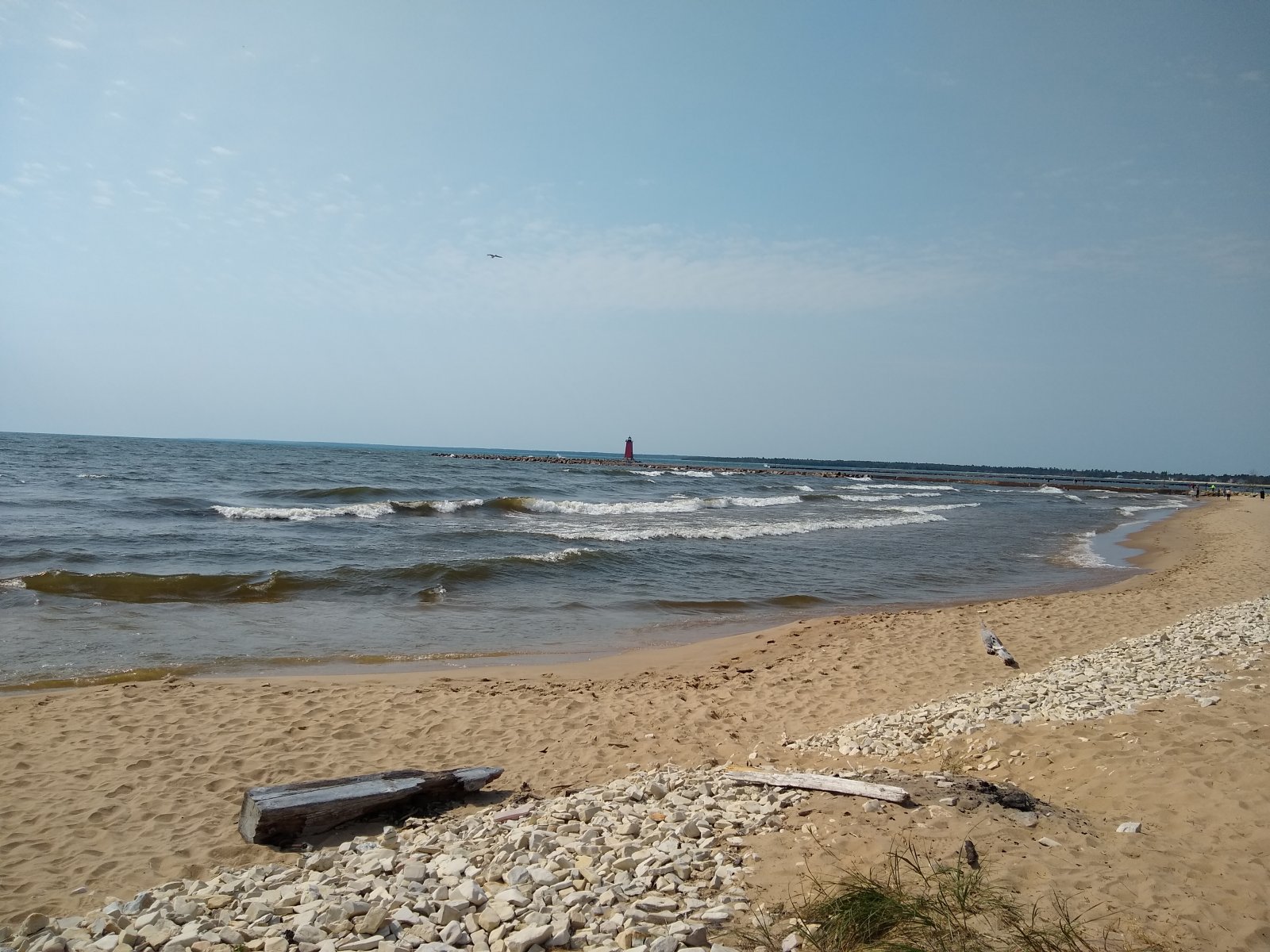 IMG_20210911_125244436.jpg