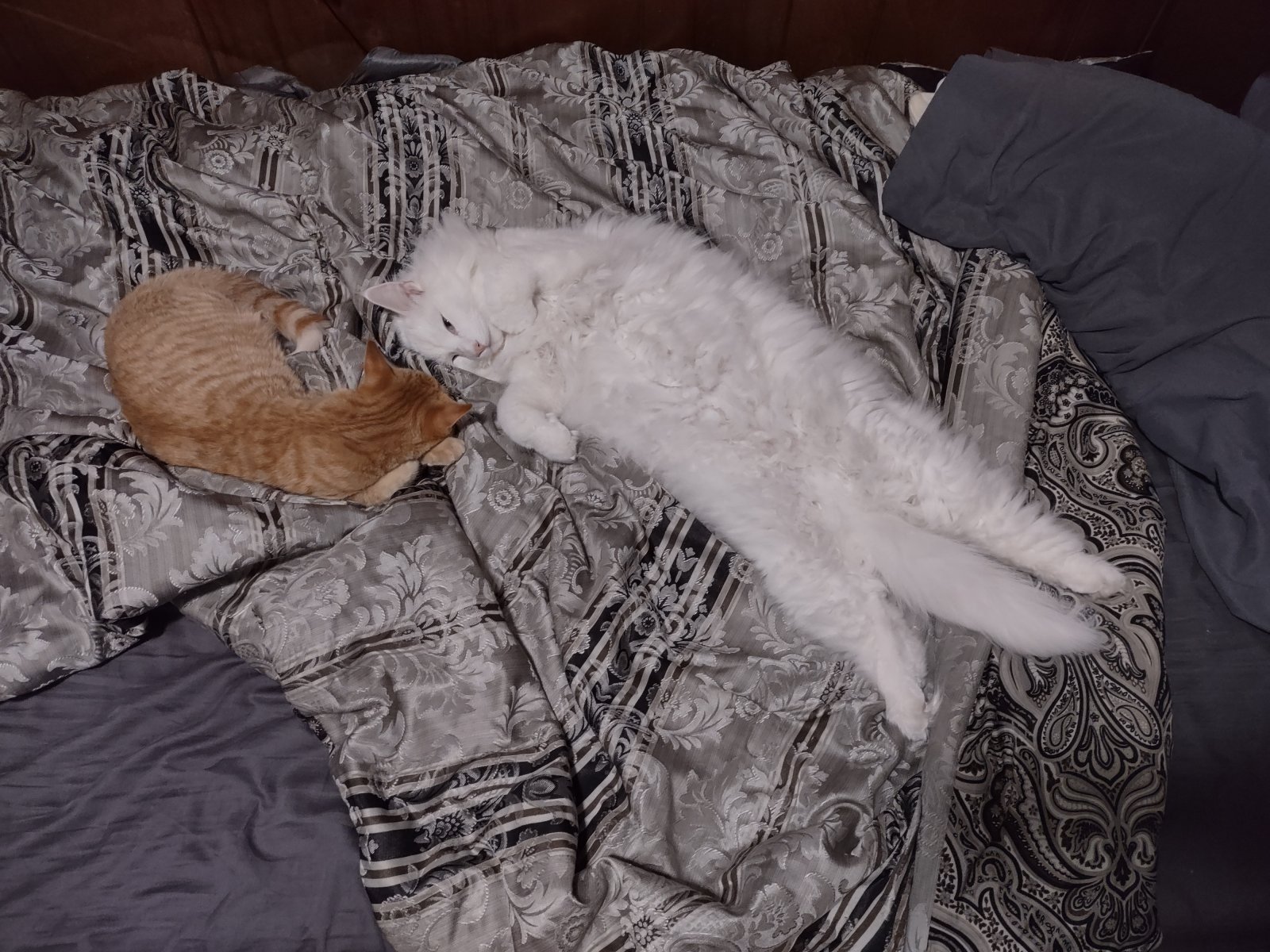IMG_20220118_215027686_HDR.jpg