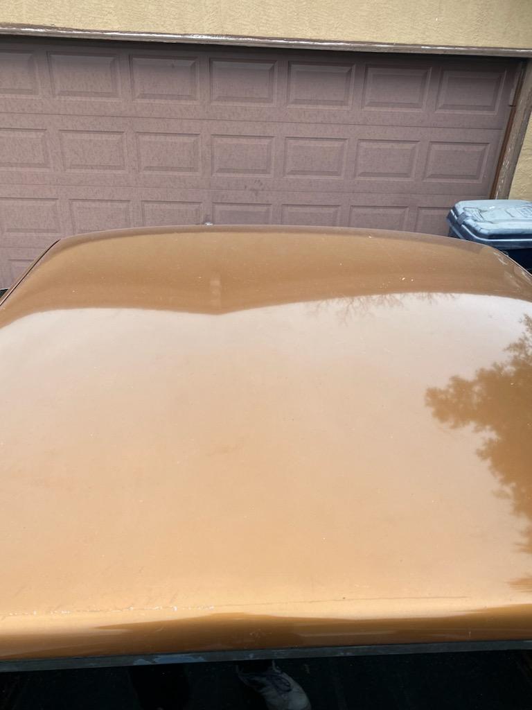 IMG_20240323_101818.jpg