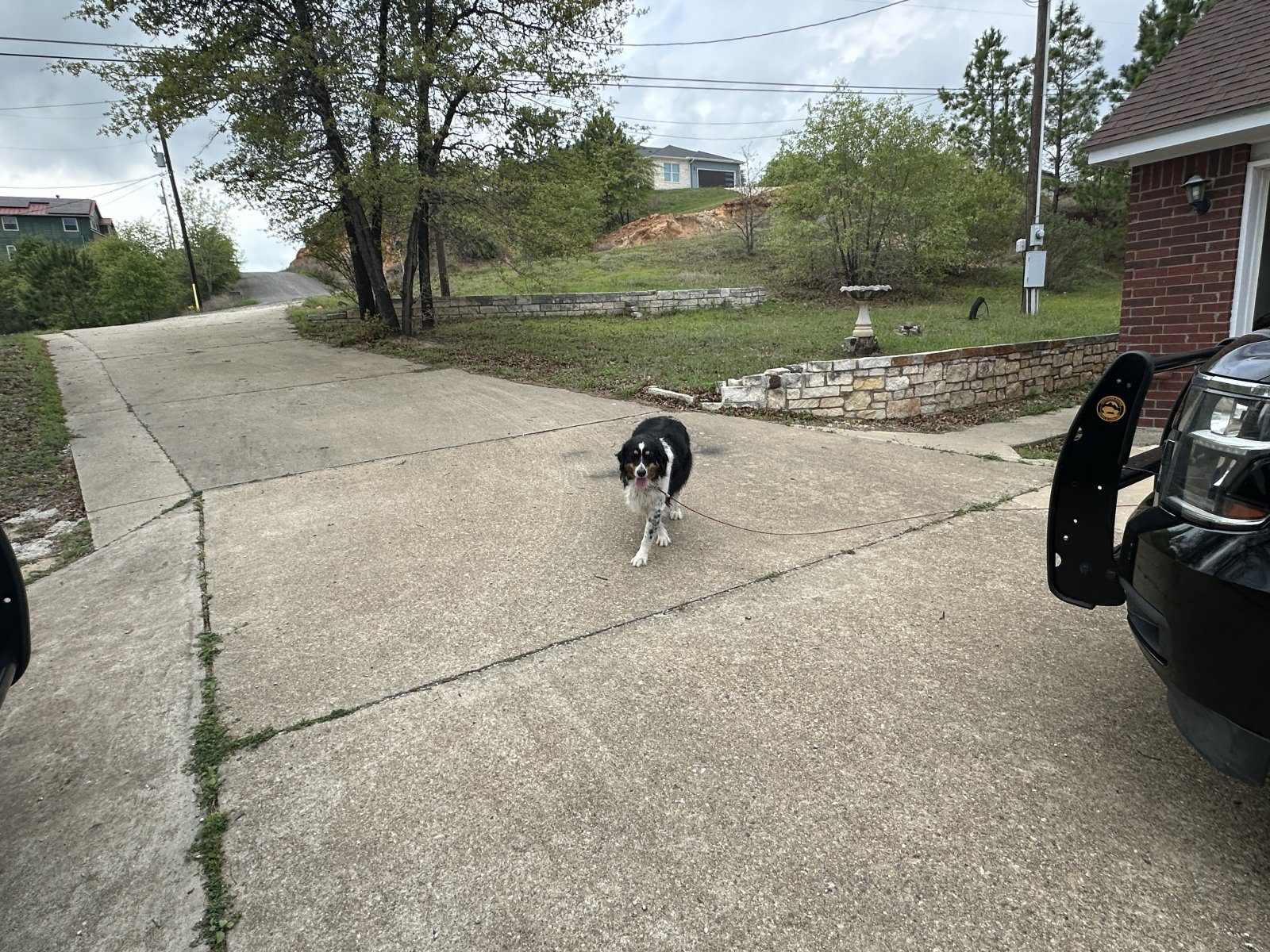 IMG_2708.jpeg