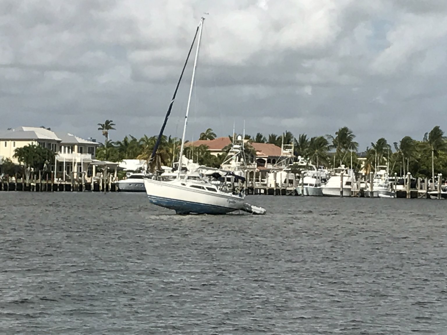 IMG_3941.JPG