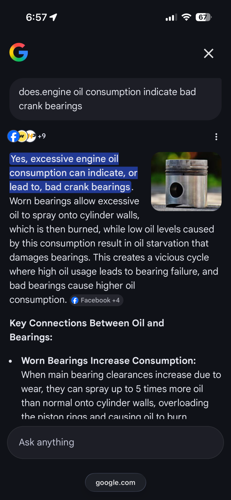 IMG_4146.png