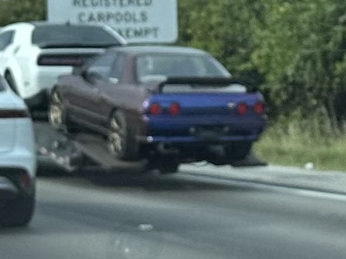 IMG_4339.jpeg