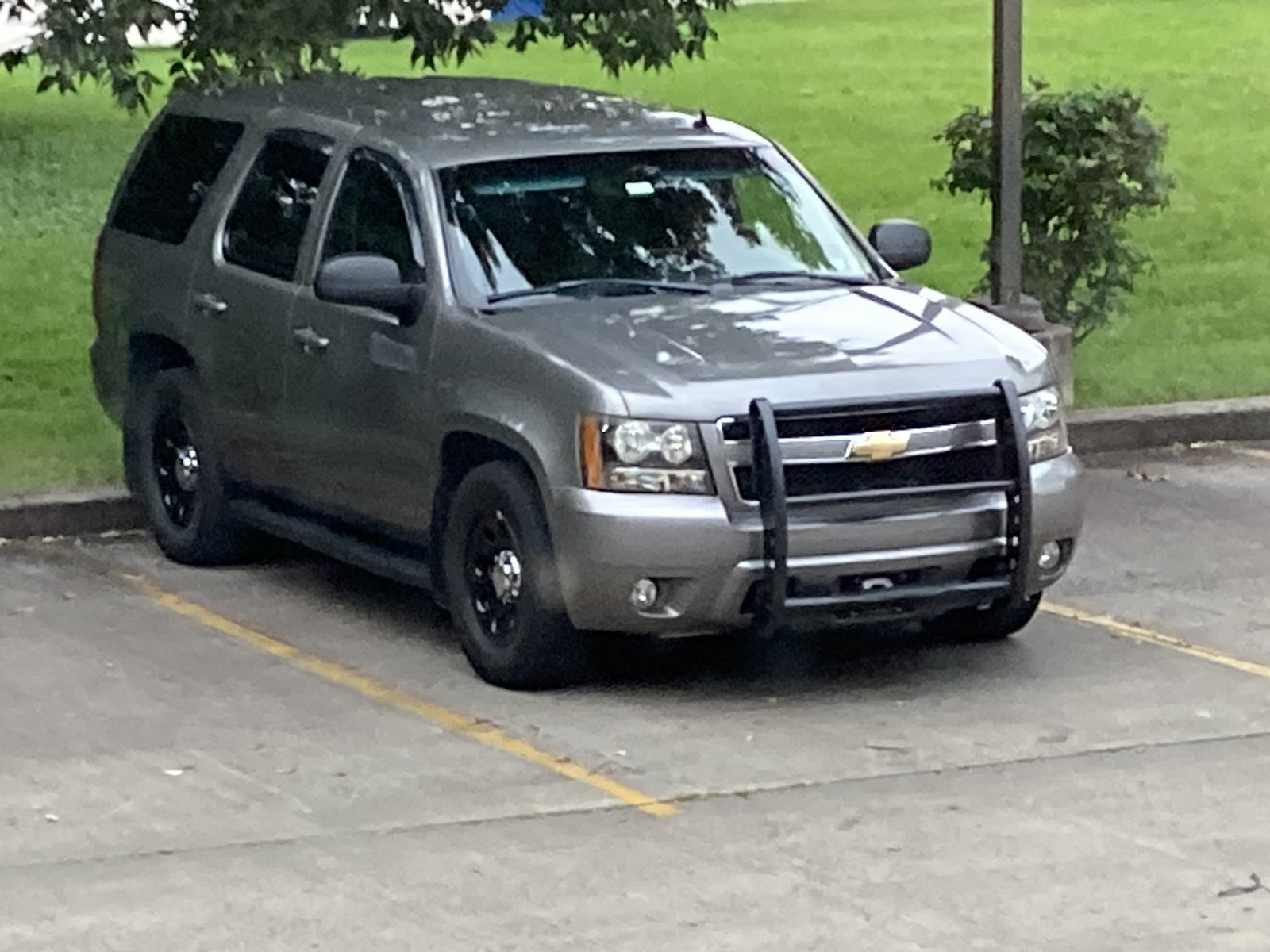 IMG_5920.jpeg