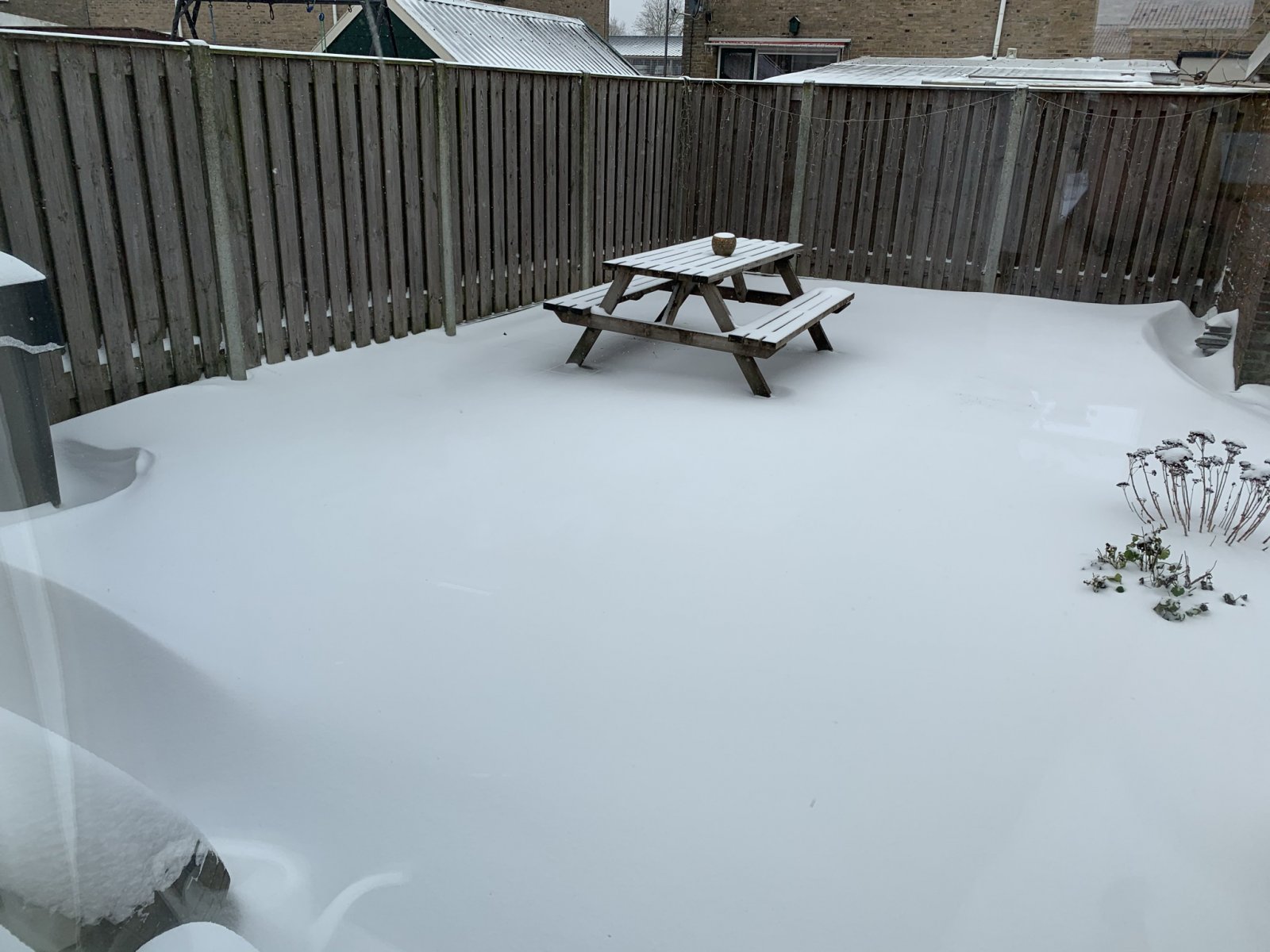 IMG_5999.JPEG