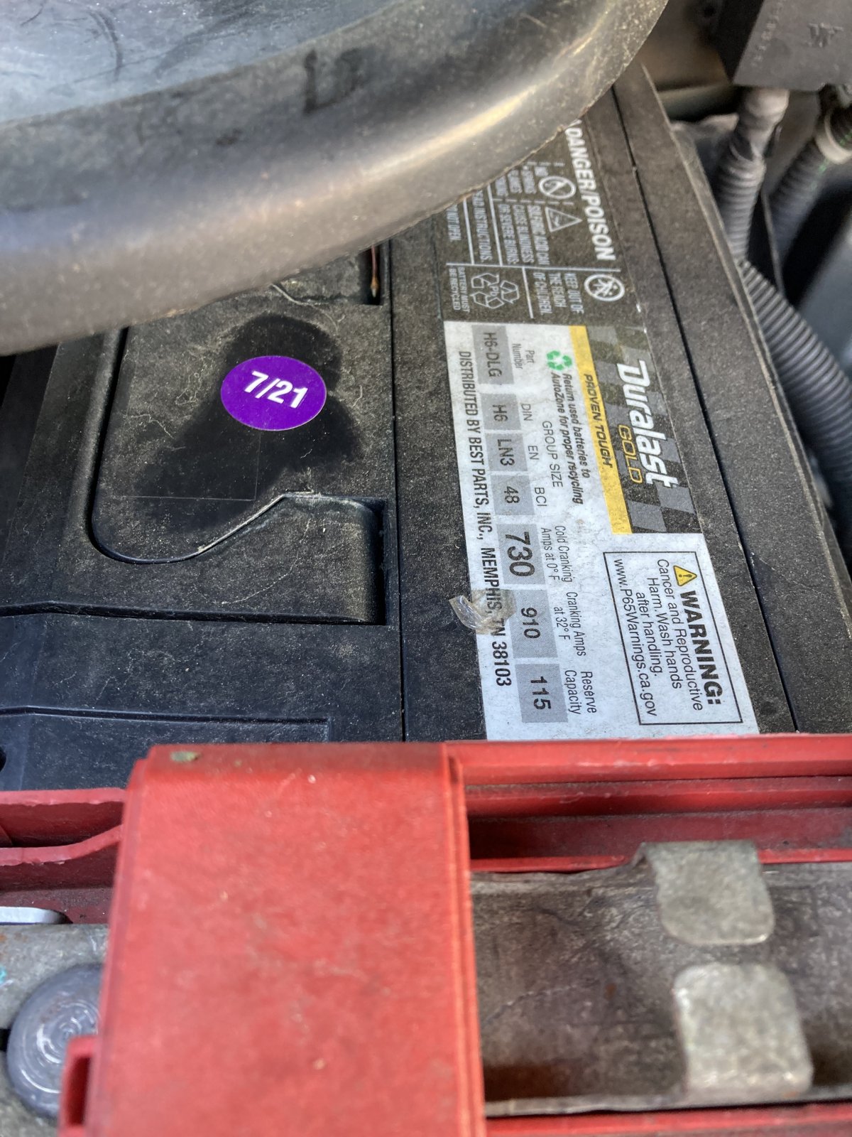 IMG_6951.jpeg