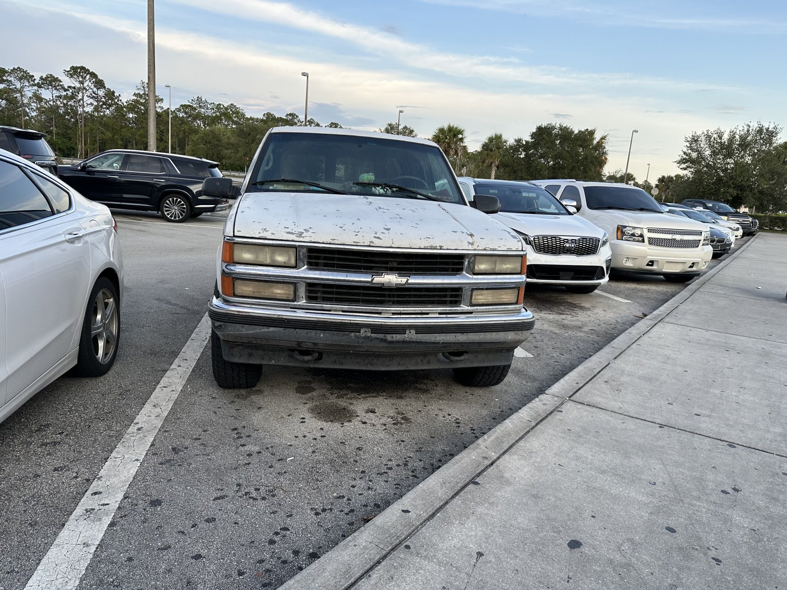 IMG_7357.jpeg