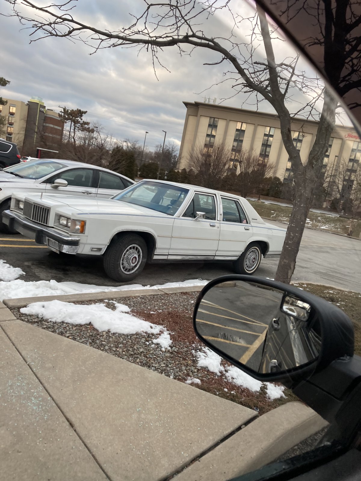 IMG_7572.jpeg