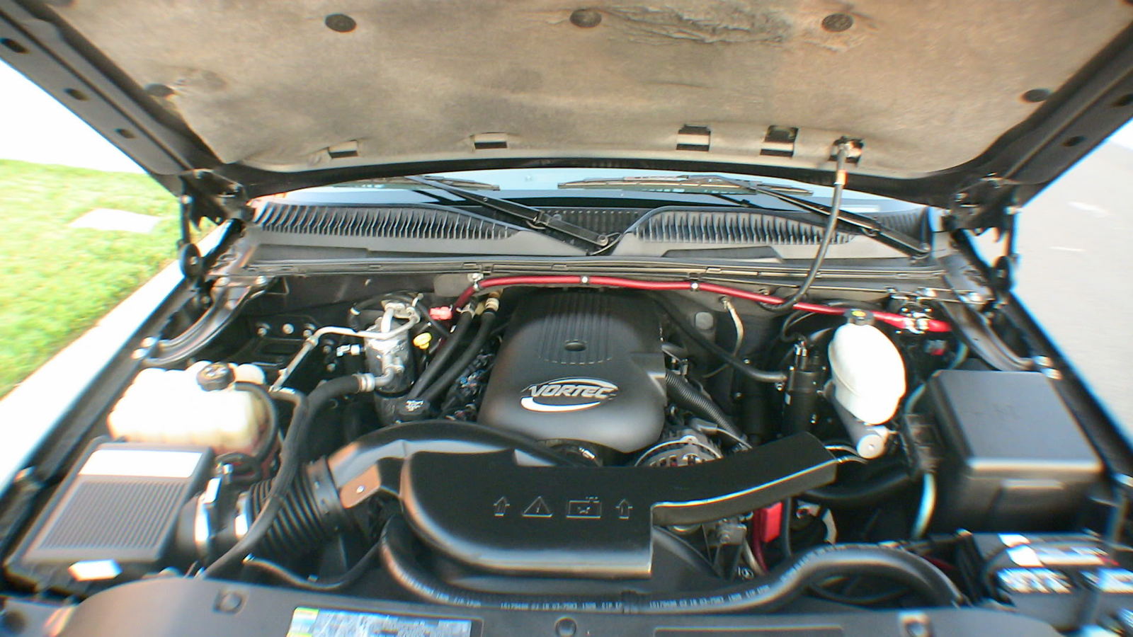 IMG_8114.jpg