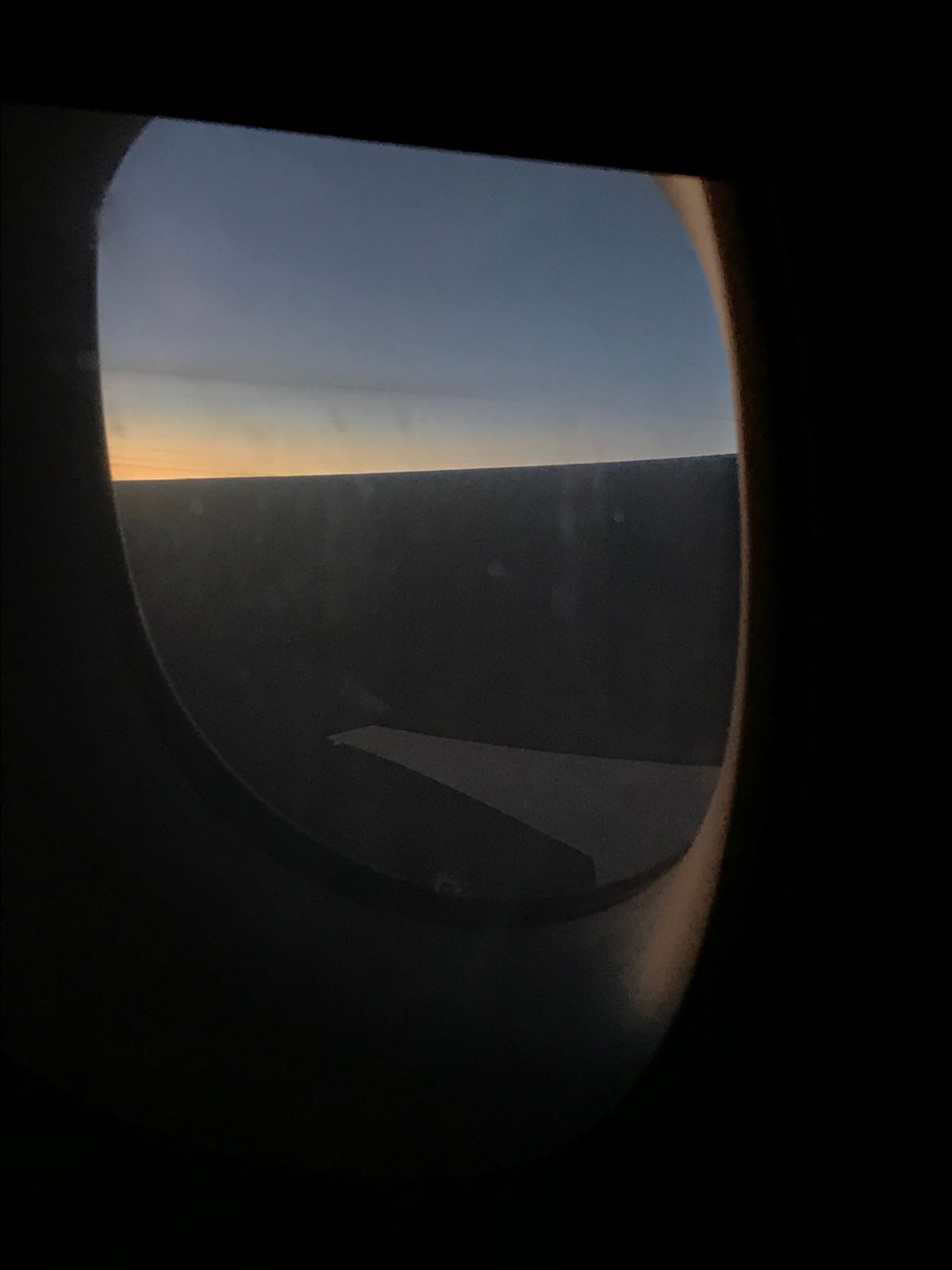 IMG_8380.jpeg