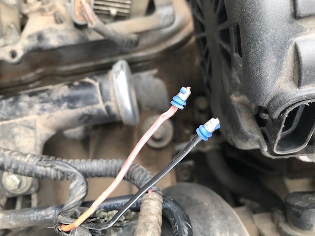 injector 1.jpg