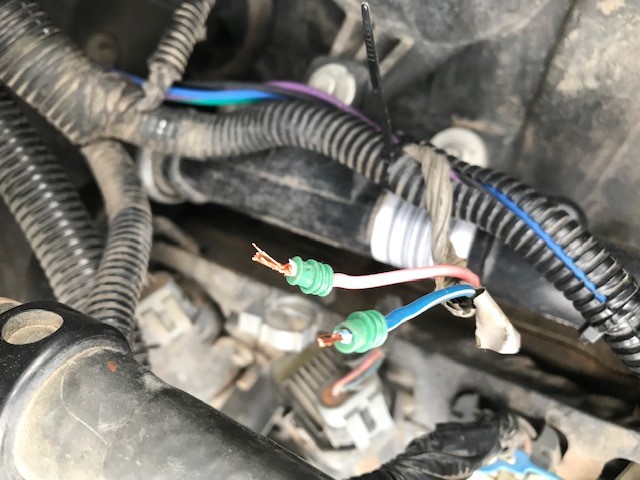 injector 2.jpg