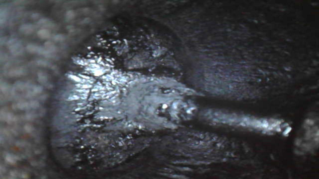 intake_valve.jpg