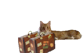 kittahout2.gif