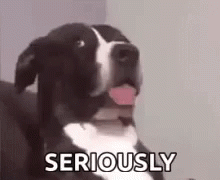 ms-EuES1t.gif